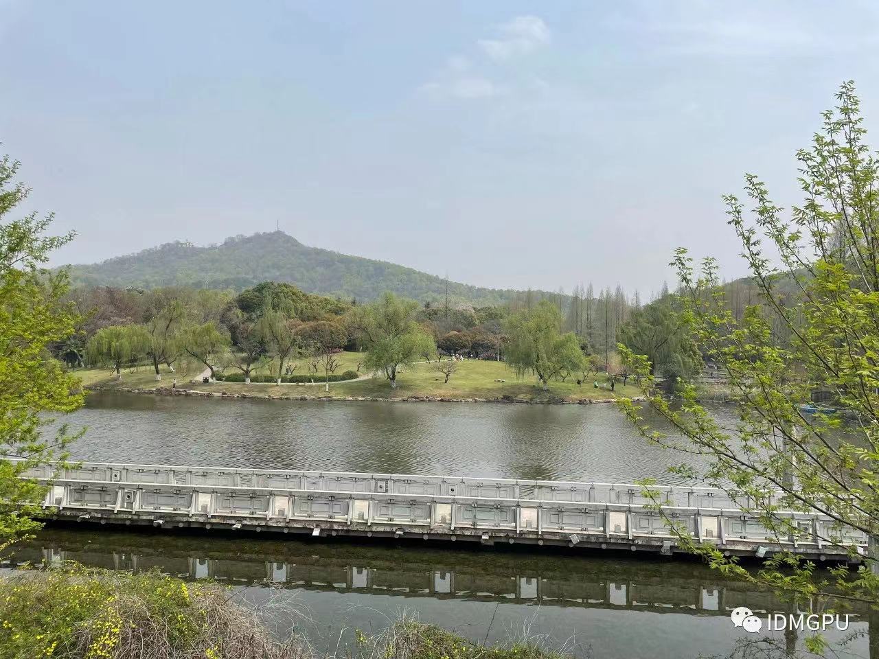 1689564282175394.jpg 1689564282175394.jpg